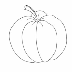 Autumn gifts of nature close-up on a white background. Vector graphics. Contour illustration.