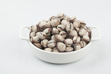 조개 꼬막 해산물