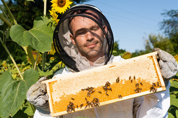 smiling apiarist in beekeeping suit holding honeycomb with bees in blossoming sunflower field