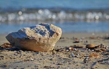 Rock and beach debris at the shore with waves in the background