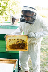 apiarist holding frame with honeycomb and bees on apiary