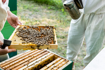 partial view of beekeepers with honeycomb frame and bee smoker on apiary