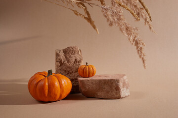 Autumn background podium display with pumpkins on biege background. Cosmetic, beauty product...