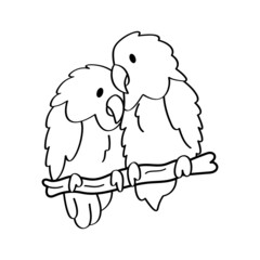 Pair of cute birds on a branch Vector illustration