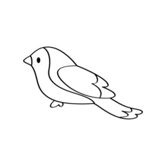 Isolated cute and colored bird Vector illustration