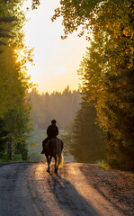 Woman horseback riding on the country road at sunset