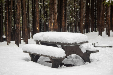snow covered picnic table plans canceled