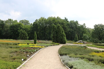 Weg im Heidegarten Schneverdingen in der Lüneburger Heide 