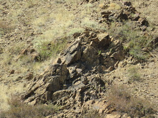 the mountains