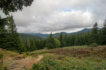 Beautiful Carpathian landscape National Park. Carpathian, Ukraine, Europe. Beauty world.