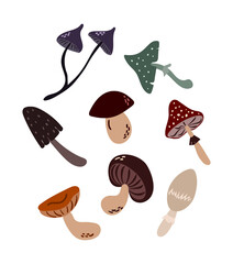 Doodle collection of toadstools and mushrooms. Ingredients for whitch's potion. Vector illustration on isolated background