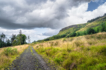 Fototapeta na wymiar Country road leading trough meadows to the forest on the hill. Cliffs and mountains of Glenariff Forest Park, County Antrim, Northern Ireland