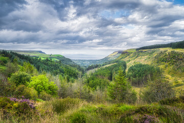 Naklejka premium Beautiful green valley with forests and fields. Glenariff Forest Park, the Queen of the Glens, is one of the nine Antrim Glens in Northern Ireland