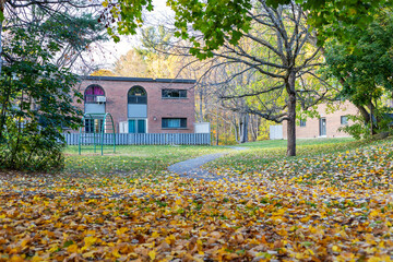 Autumn in public local park. Fallen leaves on the ground near trees in fall. Neighborhood with houses in background.