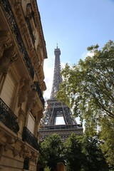 Eiffel tower  in the city