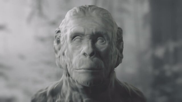 Human evolution time-lapse. From ape, primitive man to homo sapiens. Darwin's theory.