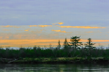 Night twilight of the polar day in the northern forest tundra on the river bank.