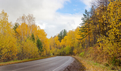 Winding road through autumn bright forest. Colorful autumn landscape with golden birch trees and green pine trees with cloudy sky. Indian summer in Russia.
