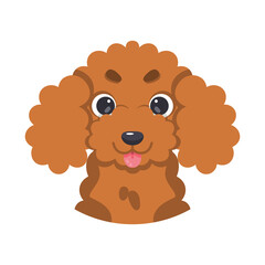 Isolated cute avatar of a poodle dog breed Vector illustration