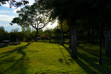 Obraz premium Sonnenuntergang und Park