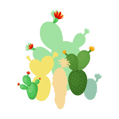 Clipart with cacti on white background. Blooming cactus flat illustration. Desert and exotic plant.