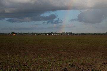 Fototapeta premium rainbow in a plowed field 