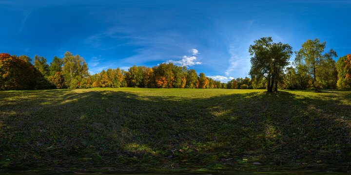 360 by 180 degree spherical panorama of sunny autumnal mowed meadow and yellow forest on its edges with blue sky and clouds.
