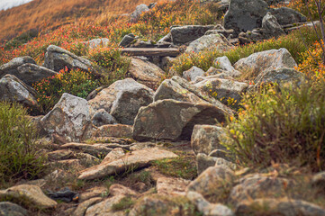 kamienie © Adrian