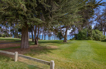 Bosque con sendero cerca del mar