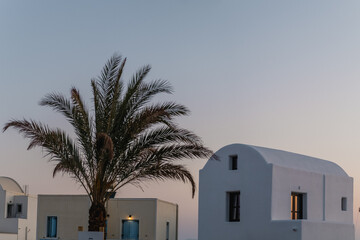Sunrise view over palm next to house in Santorin i