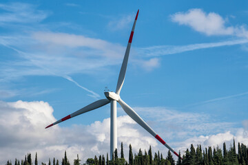 energia eolica