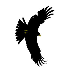 Eagles are mighty, strong birds