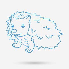 Hedgehog doodle isolated object. Vector illustration.