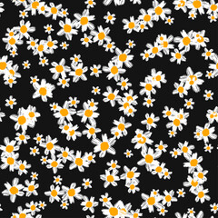 Field of daisies. Seamless pattern. Chamomile flowers endless trendy texture.