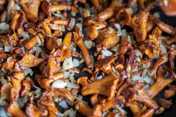 cook fried chanterelle mushrooms with onions, Flat Lay, horizontal