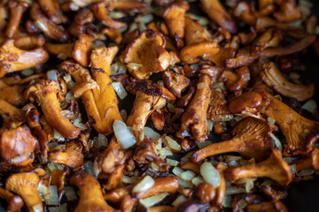 fry raw chanterelle mushrooms with onions, Flat Lay, horizontal
