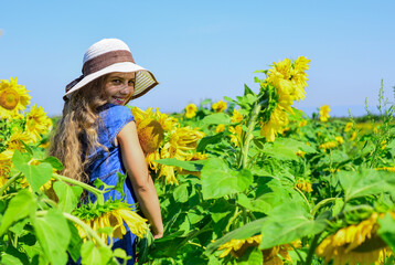 Girl at sunflowers field enjoy yellow bloom on sunny day, organic oils