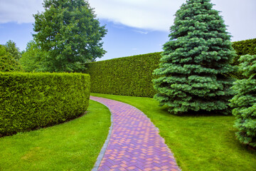 pedestrian path made of red stone tiles is curved in an arc in the park among the hedge of evergreen thuja and trees. A place for walking and rest, nobody.