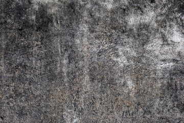 Wall Texture