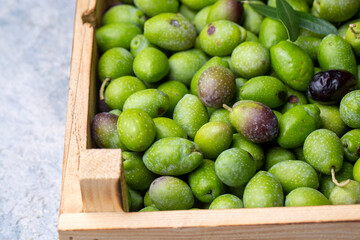 Fresh organic green raw olive