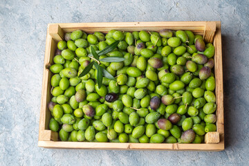 Fresh organic green raw olive
