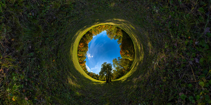 hyperbolic tunnel projection panorama of sunny autumnal mowed meadow and yellow forest on its edges with blue sky and clouds