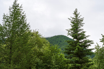 Vacation landscape. Russian Altai mountains. Multa region. Holiday at home. Staycation concept. Long distanse road. Reduce carbon footprint. Sustainable lifestyle. Holiday trail. Local travel