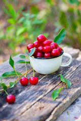 against the background of trees cherry delicious lies. High quality photo