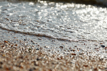 Tidal bore. The wave rolls onto the seashore, which is covered with shells. Coastline. Sea waves with white foam and shells beach. close-up.