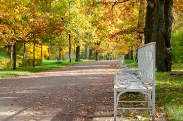 Alexander park in autumn, Pushkin (Tsarskoe Selo), St. Petersburg, Russia