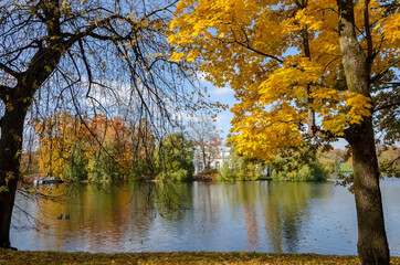 Alexander park in autumn, Pushkin (Tsarskoe Selo), St. Petersburg, Russia