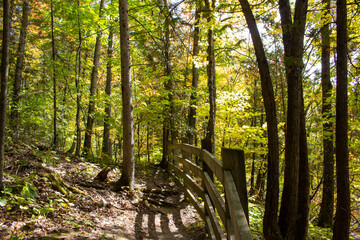 Obraz premium Chutes de Plaisance, QC, Canada