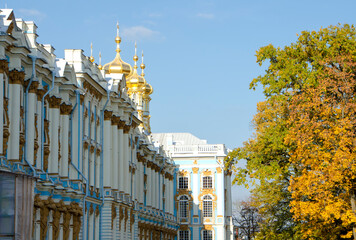 Domes of the Resurrection Church of the Catherine Palace and autumn foliage in Tsarskoye Selo...