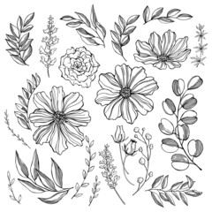 Graphic  flowers and leaves. Vector  illustration.